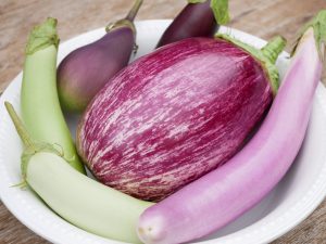 Brûleur de graisse